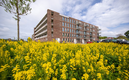 171 appartementen + 22 woningen Westerwal Groningen woningbouw